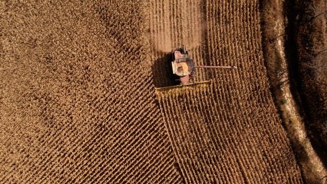 Turning Agricultural Waste into Renewable Diesel